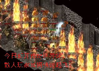 ¿SFɢοɣ