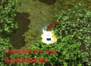 如何驯服传奇巨龙解锁全服制霸秘籍? 如何驯服传奇巨龙解锁全服制霸秘籍?