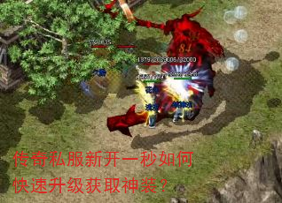 传奇私服新开一秒如何快速升级获取神装? 传奇私服新开一秒如何快速升级获取神装?