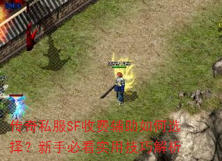 传奇私服SF收费辅助如何选择?新手必看实用技巧解析 传奇私服SF收费辅助如何选择?新手必看实用技巧解析